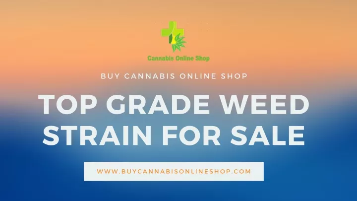 buy cannab is online sho p