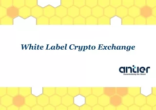 Build the best white label crypto exchange software