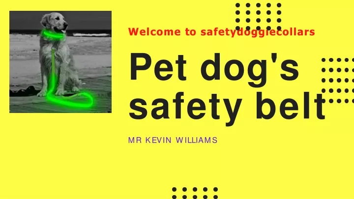 welcome to safetydoggiecollars