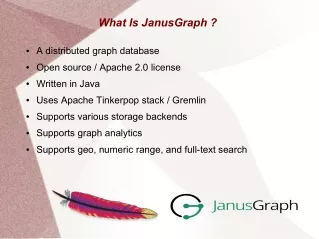 JanusGraph DB