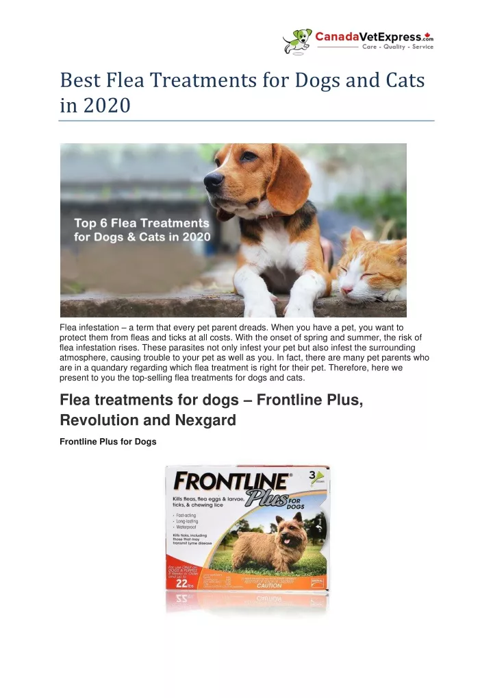 best flea treatments for dogs and cats in 2020