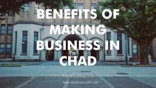 benefits of making business in chad