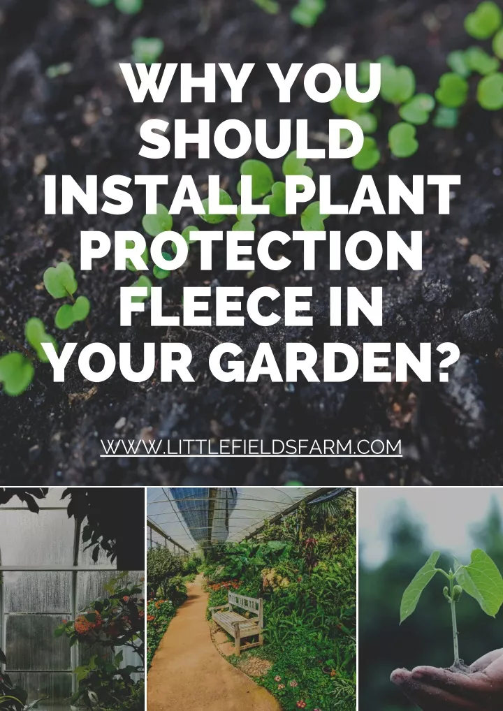 why you should install plant protection fleece