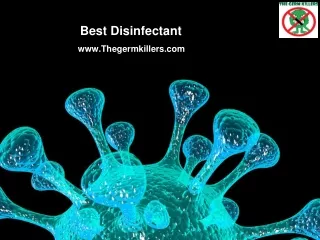 best disinfectant