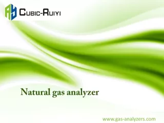 Natural Gas Analyzer