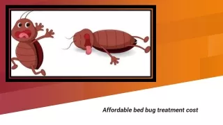Affordable bed bug treatment cost