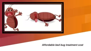 Assure good health with bed bug treatment
