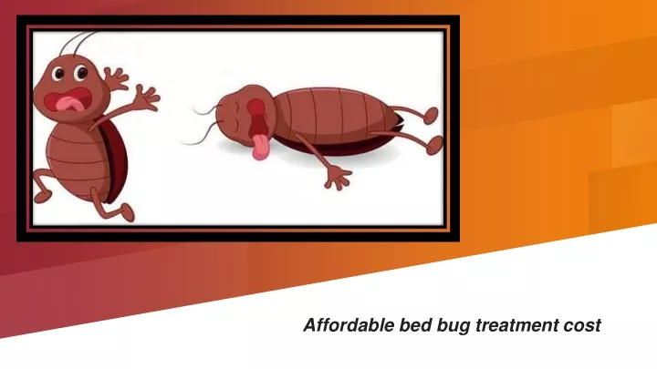 affordable bed bug treatment cost