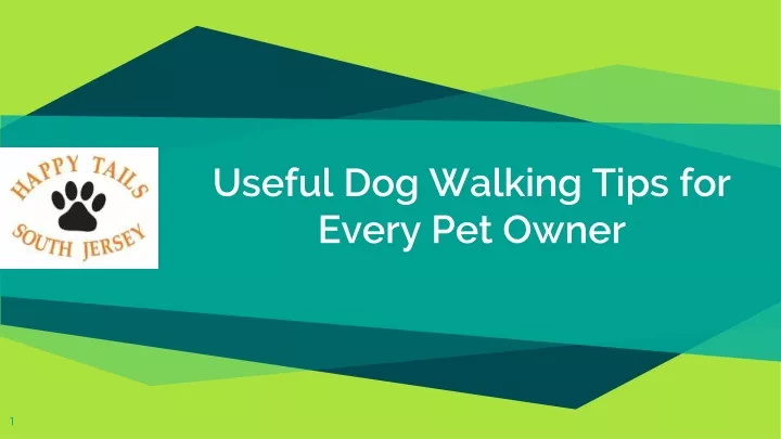 useful dog walking tips for every pet owner
