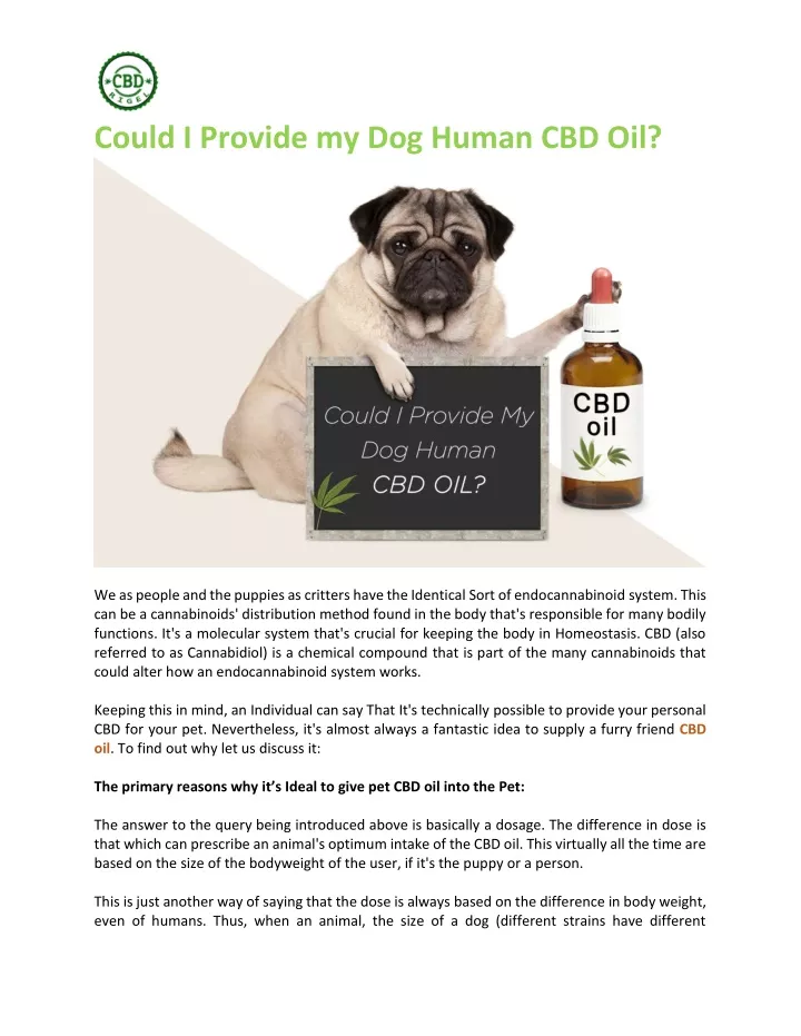 could i provide my dog human cbd oil