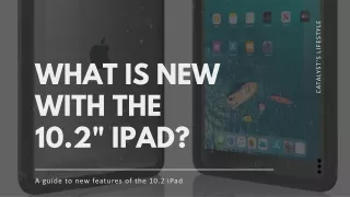 WHAT IS NEW WITH THE 10.2" IPAD?