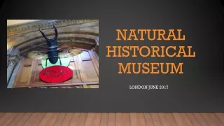 natural historical museum