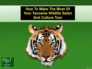 How To Make The Most Of Your Tanzania Wildlife Safari And Culture Tour