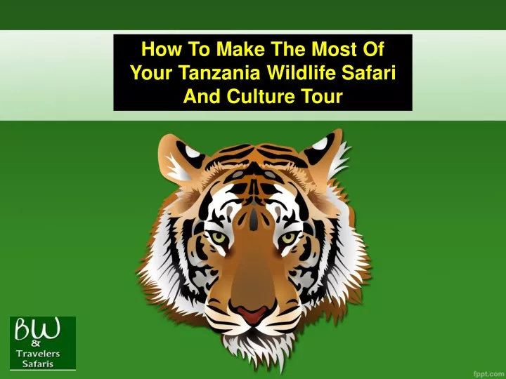 how to make the most of your tanzania wildlife