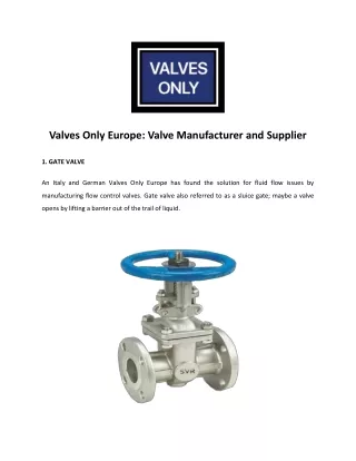 Safety Valve Manufacturer in Germany - Valves Only Europe