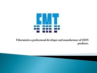 fibermint is a professional developer and manufacturer of odn products