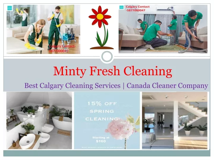 minty fresh cleaning