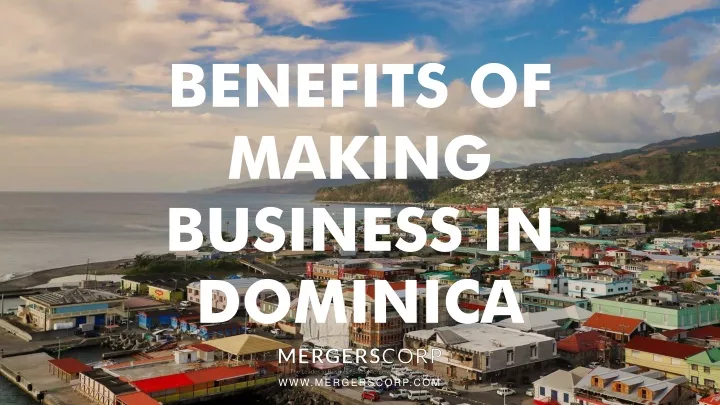 benefits of making business in dominica