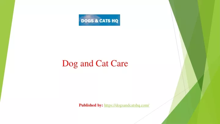 dog and cat care