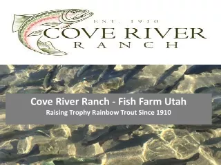 cove river ranch fish farm utah raising trophy