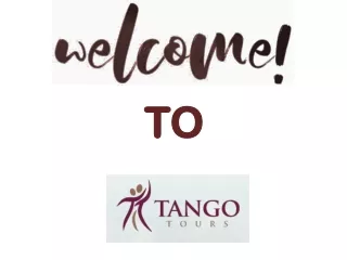 Plan the Perfect Mendoza Wine Tours with Tango Tours