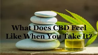 What Does CBD Feel Like When You Take It?
