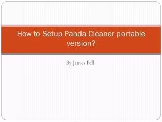 how to setup panda cleaner portable version
