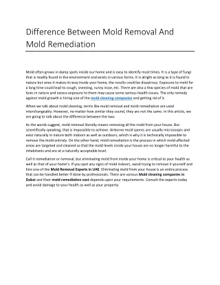 difference between mold removal and mold