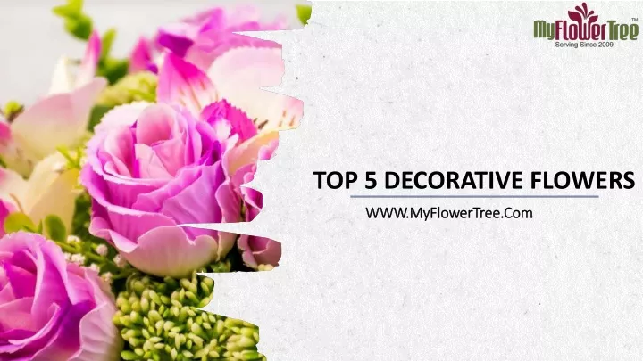 top 5 decorative flowers