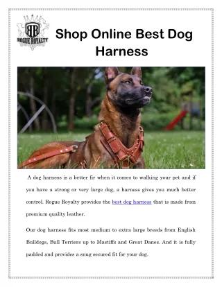 Shop Online Best Dog Harness