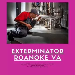 Exterminator Roanoke VA | Killinger Pest Solutions