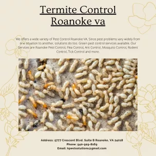 Termite Control Roanoke VA | Killinger Pest Solutions