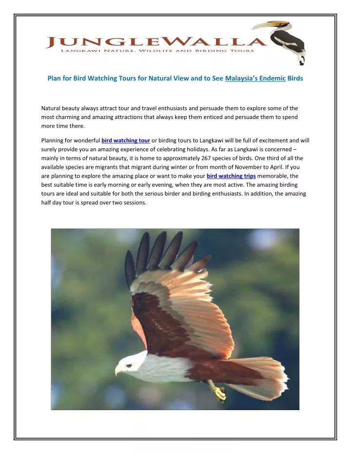 plan for bird watching tours for natural view