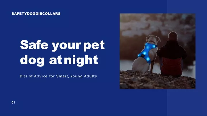 safe your pet dog at night