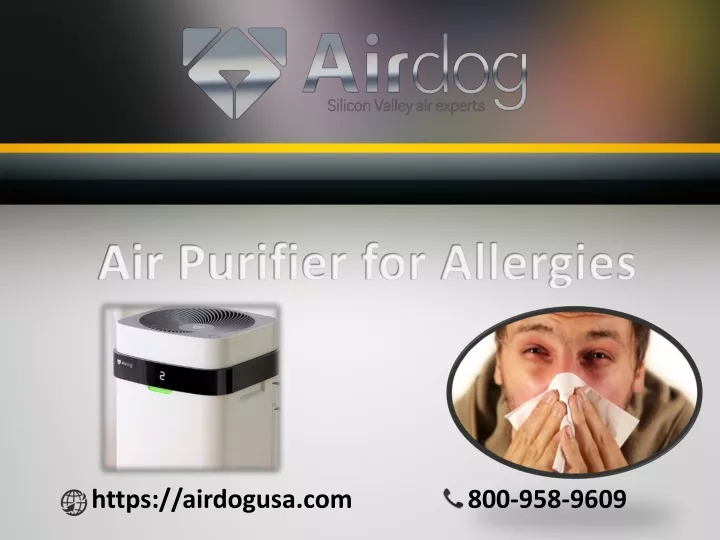 air purifier for allergies