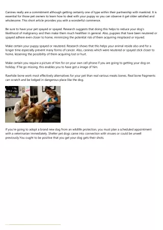 canines really are a commitment although getting