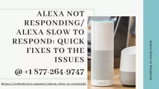 Online Experts Fix 1-8772649747 Alexa Not Responding Error