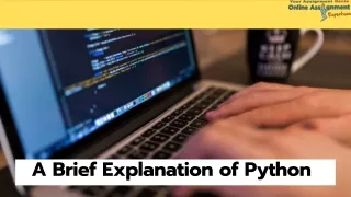 a brie f explanation of python