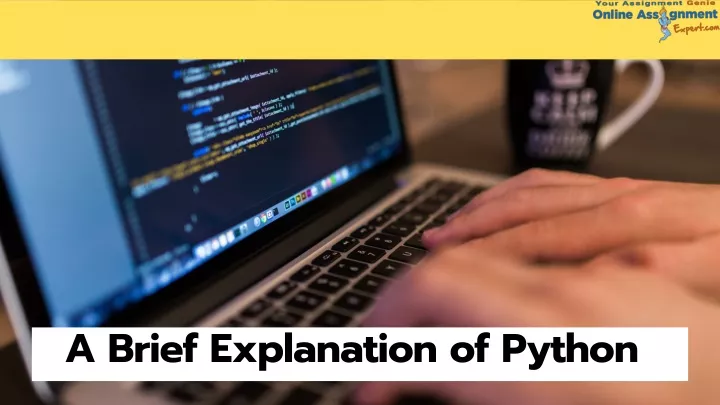 a brie f explanation of python