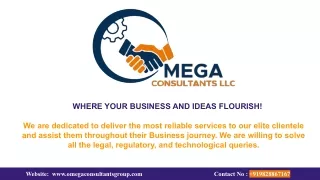 Omega Consultants Details ppt