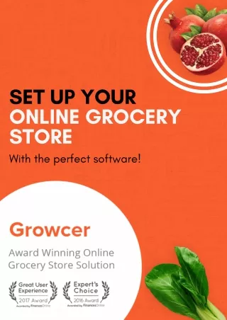 SET UP YOUR ONLINE GROCERY STORE WITH THE PERFECT ONLINE GROCERY MARKETPLACE SOFTWARE
