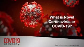 What is Novel Coronavirus or COVID-19