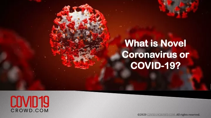 what is novel coronavirus or covid 19
