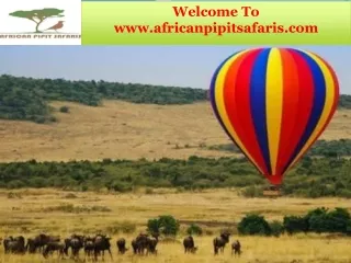 Memorable Safari Trips Kenya