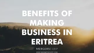 benefits of making business in eritrea