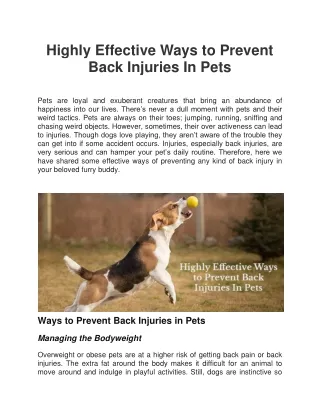 highly effective ways to prevent back injuries