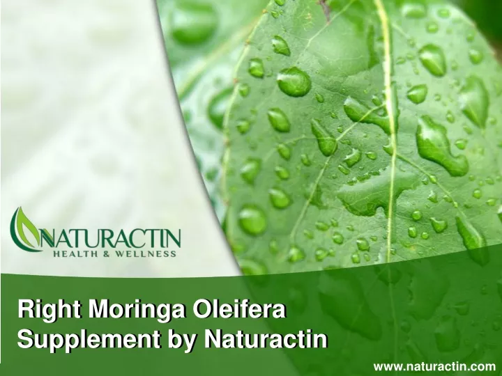 right moringa oleifera supplement by naturactin