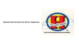 Horse Feed Greain