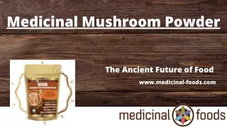 Medicinal Mushroom Powder | Medicinal-Foods