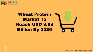 Wheat Protein Market Shares, growth rate and Forecasts to 2027